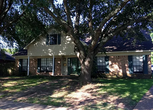 10114 Village Green Dr Photo 1