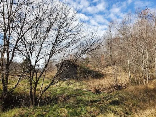 6083 Ringos Mills Rd, Hillsboro, KY 41049