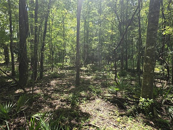 3rd image of 7521 S CLAY TERRACE LOT 45
