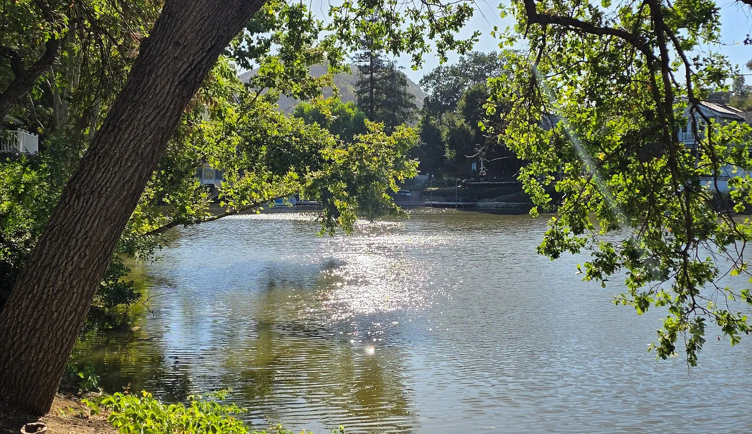 Lake Front Living — Photo 4