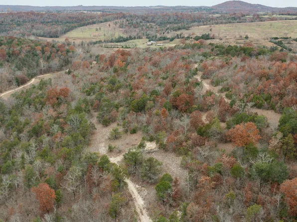 251 Wedin, Gainesville, MO 65655