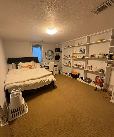 basement bedroom #2