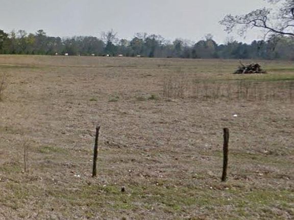 5th image of 104 Everwood Ct