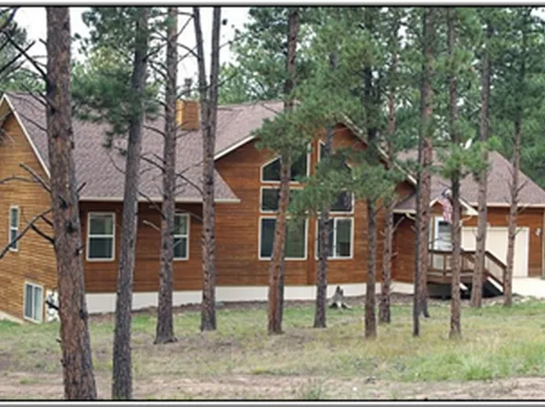 435 Pembrook Ln, Woodland Park, CO 80863