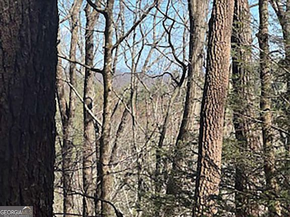 2nd image of 14 Butler Creek Rd