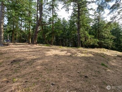 24 Mossyrock Road, Friday Harbor, WA, 98250