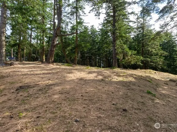 24 Mossyrock Road, Friday Harbor, WA 98250
