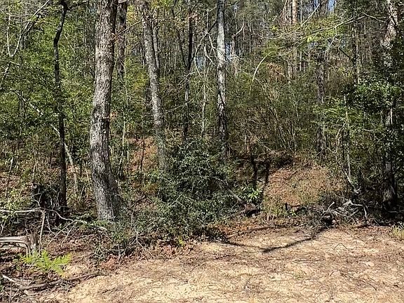 4th image of 16283 Ridge Oak Rd