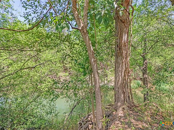 4th image of 1300 Keller Ln