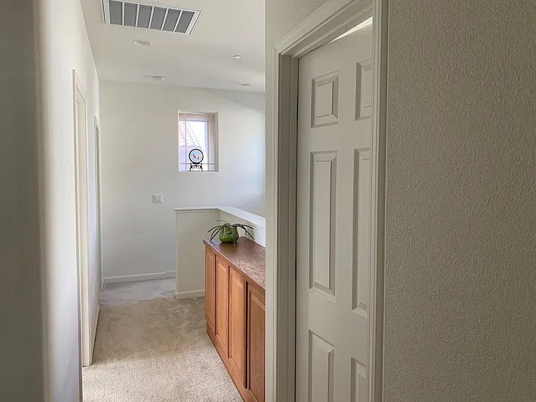 49071 Pampas Grass Ter — Photo 9