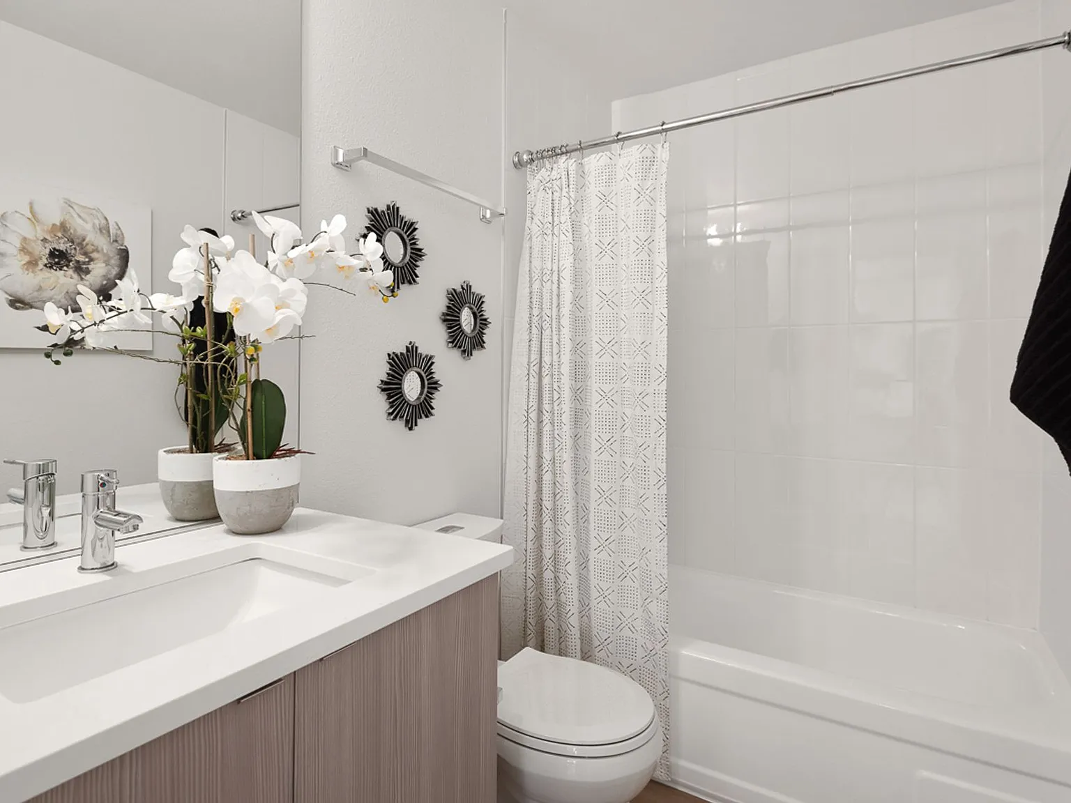 Viola Apartments — Photo 3