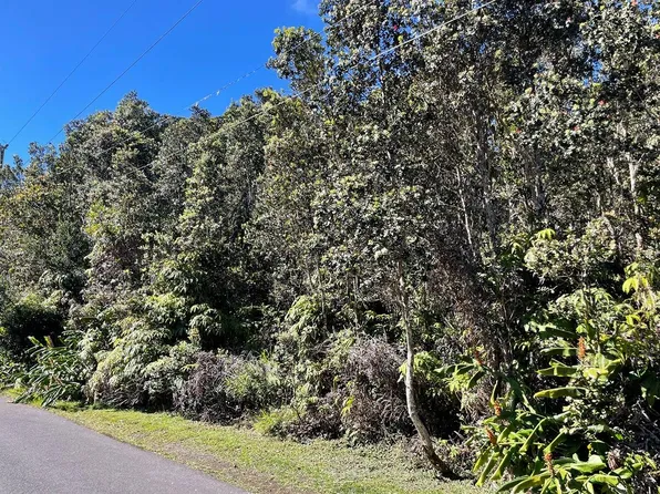 6th St Lot 529, Volcano, HI 96785