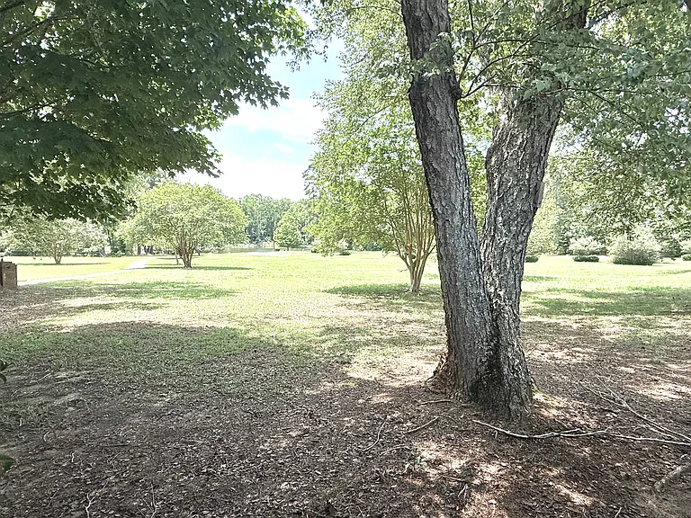 119 Pine Loop Cir — Photo 9