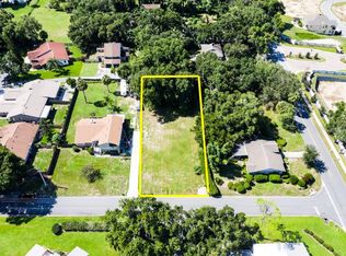Lakeview Ave, Mount dora, FL 32757