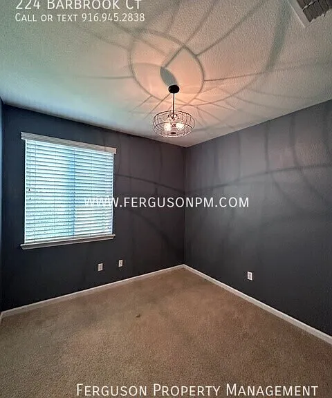 224 Barbrook Ct — Photo 16