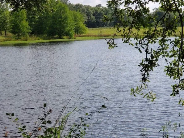0 Wilcox Rd, Cairo, GA 39827