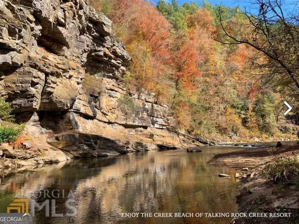 945 Longbranch Dr, Ranger, GA 30734