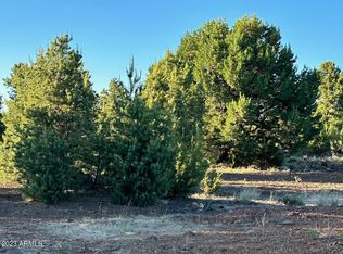 24 Mountain Pine Rnch, Vernon, AZ 85940