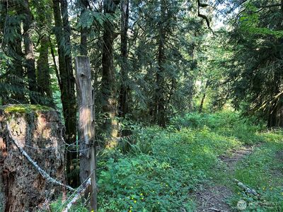 0 XXX Holcomb Road, Kelso, WA, 98626