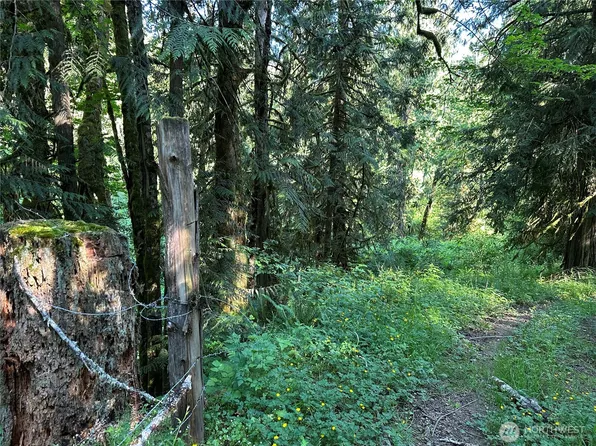 0 XXX Holcomb Road, Kelso, WA 98626