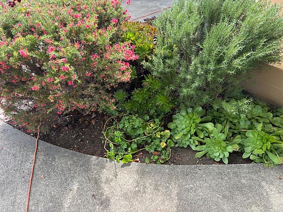 4th image of 2029 Albany Drive
