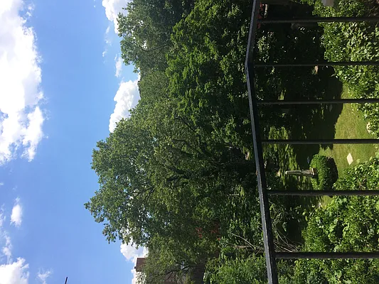 Rented by Dallien Realty Limited Liability Company | media 59