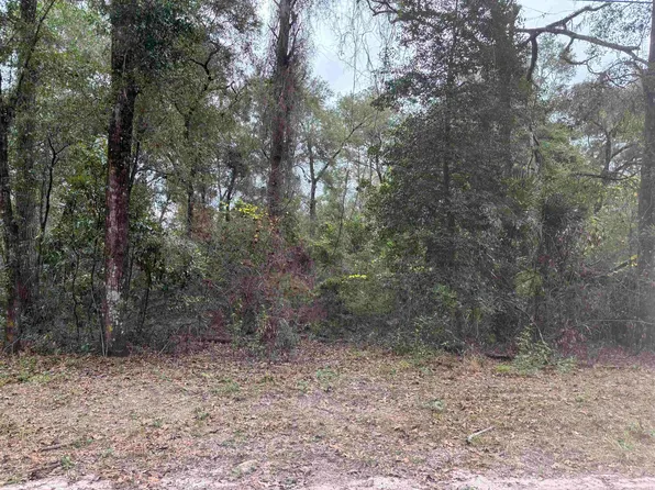 133 Rochelsie Rd, Crawfordville, FL 32327