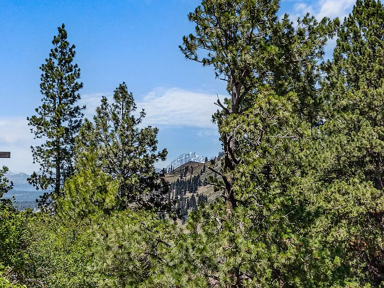 250 Morrison Canyon Ln — Photo 27