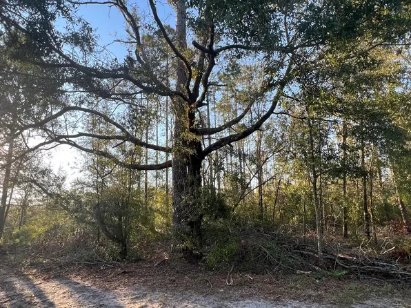 92nd Path, Live Oak, FL 32060