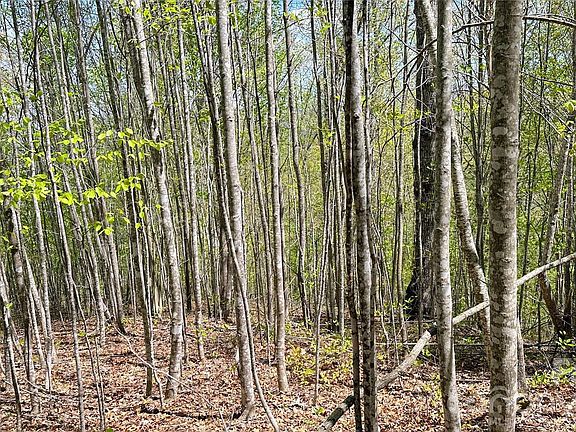 4th image of 0 Oat Field Rd #5B