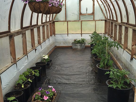 Green house