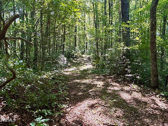 5th image of Bull Mountain Rd