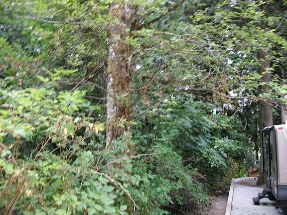 5th image of 13729 Twin Lakes Dr E