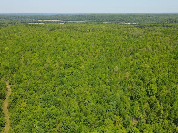 0 Gauging Station Ln, Hurricane Mills, TN 37078