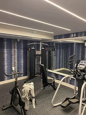 Rented by EXR | media 47