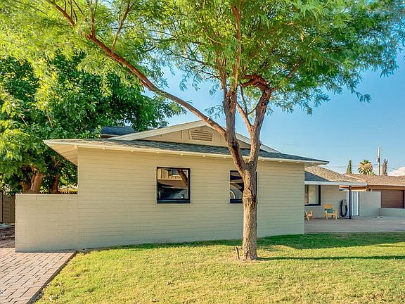 Shady Tree and Green Grass