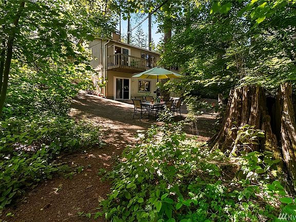 Backyard.