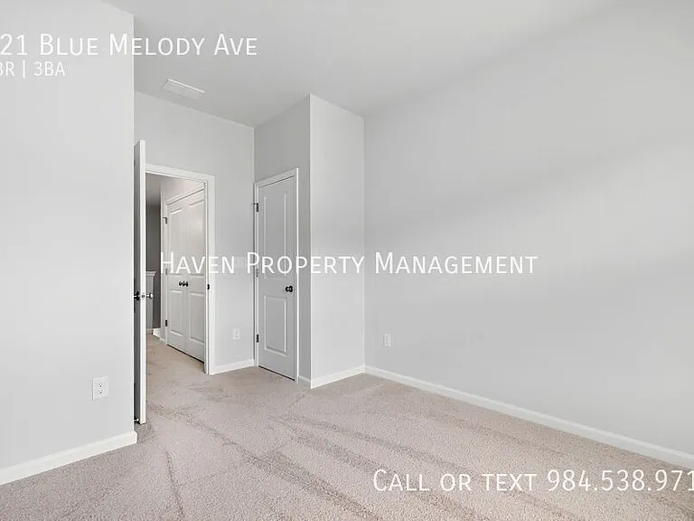 121 Blue Melody Ave — Photo 17