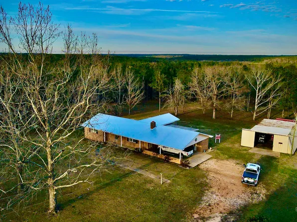 2772 Ramah Rd, Peterman, AL 36471