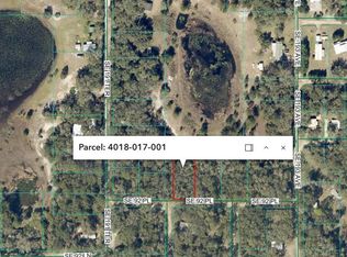 SE 92nd Pl LOT 1, Ocklawaha, FL 32179