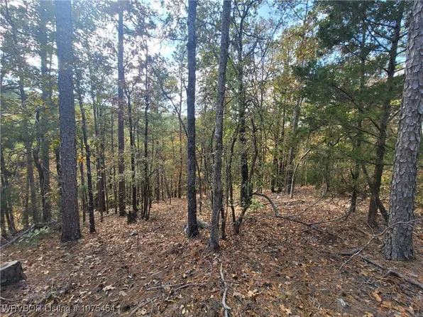TRACT 6 Benson Ln, Heavener, OK 74937