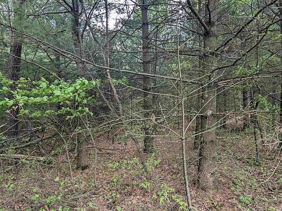 4th image of 3127AC County Hwy E