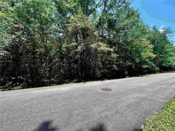 V/l 152 Settlers Trl, Woodbine, GA 31569