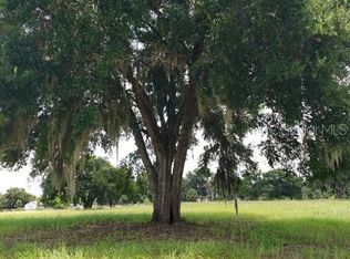 446 Cemetery Rd, Geneva, FL 32732