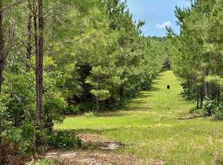 0 Jim Pruett Rd, Eastman, GA 31023