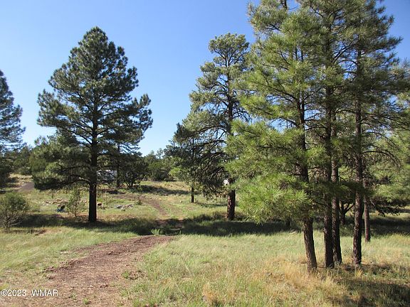 3rd image of 1072 Ponderosa Dr