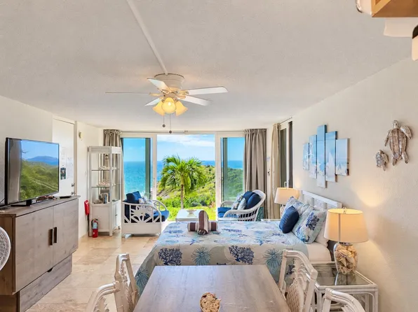 2A Watergate Villas East St, Saint Thomas, VI 00802