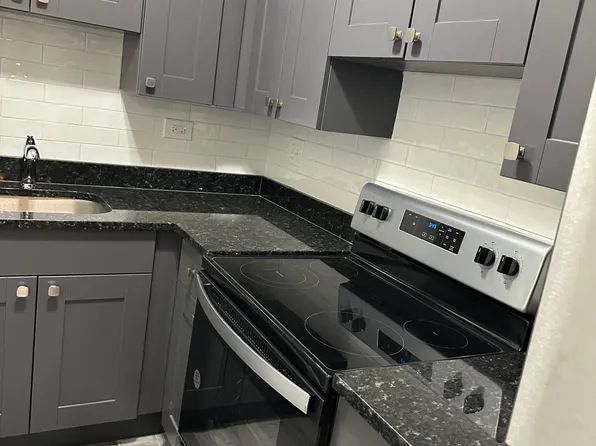 3825-411 N Pine Grove Ave, Chicago, IL