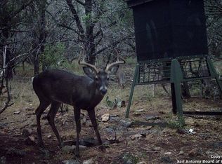 9720 Rebecca Creek Rd, Spring Branch, TX 78070