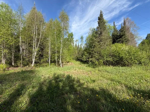 PARCEL F Three Ten Rd, Mercer, WI 54547